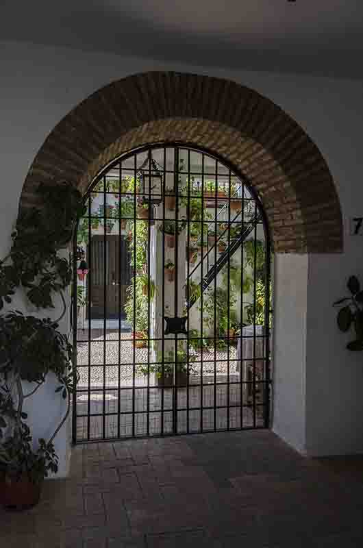 Córdoba 176 - barrio san Basilio - Patios del Alcazar Viejo - calle Martin de Roa 7.jpg